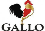 GALLO DO BRASIL